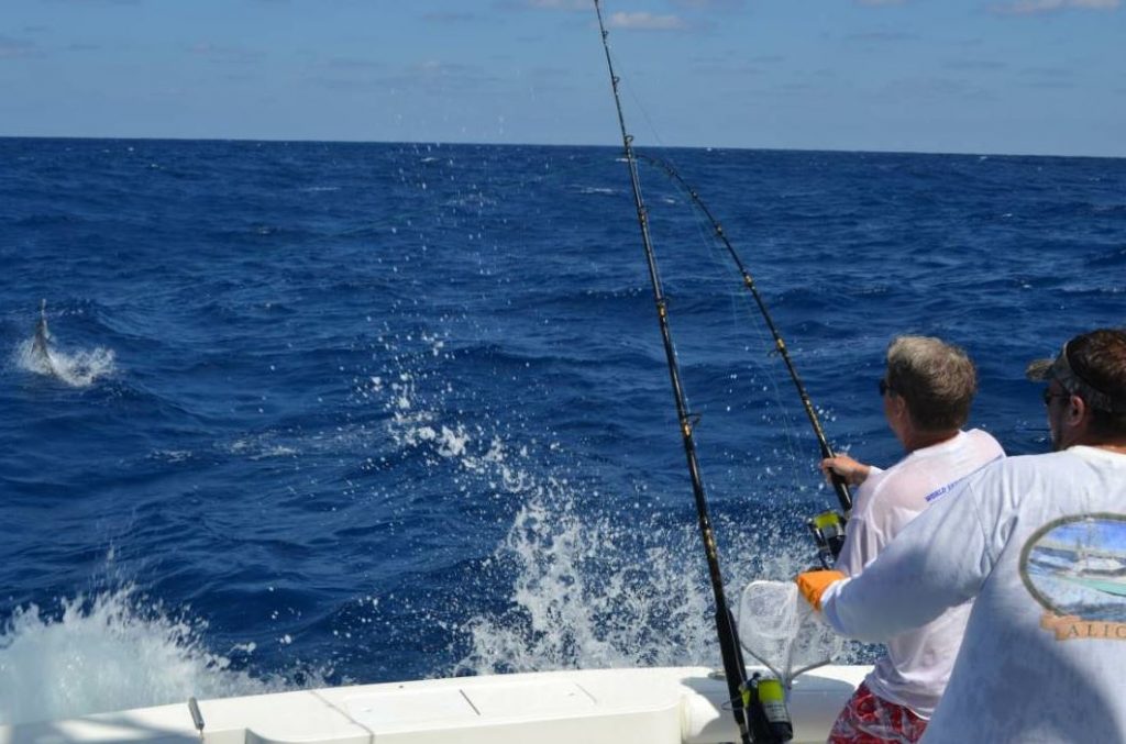 Harper is a competitive offshore fisher.
